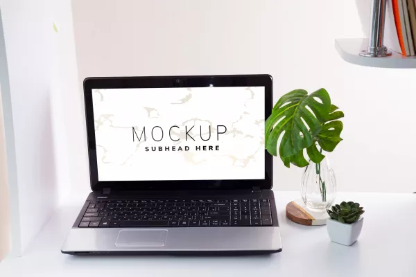 Workplace With Laptop Monstera Leaves